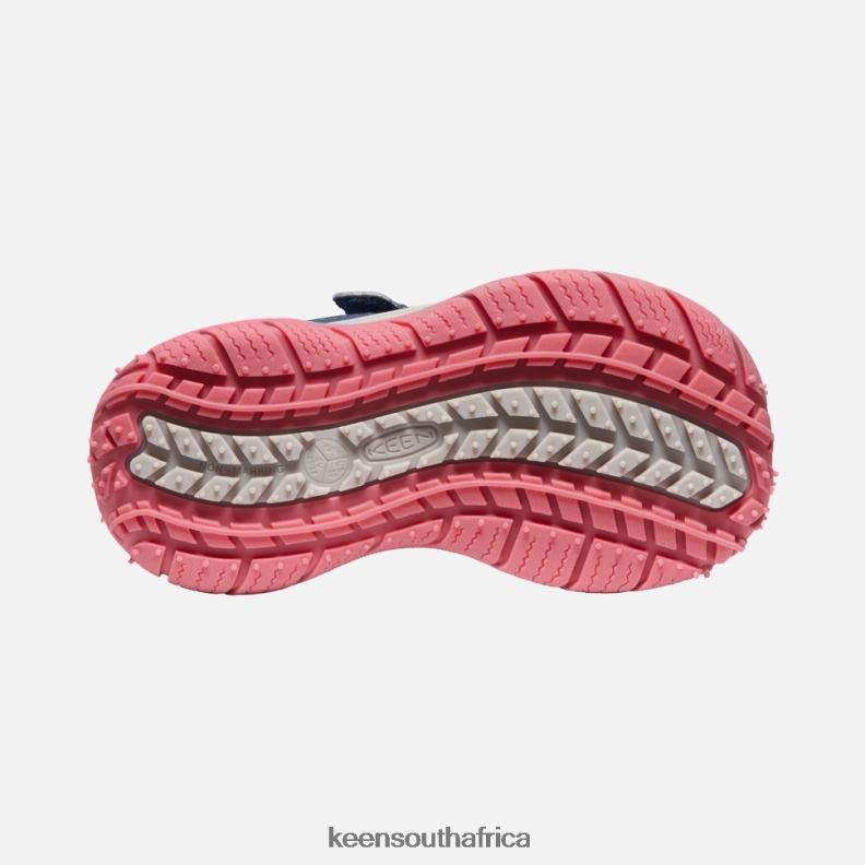 Little \' Speed Hound Blue Wing Teal-Fruit Dove R268B544 Keen Kids